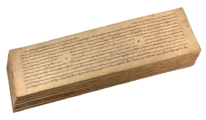 IOL Tib J 105 (pothi)